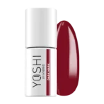 The Color is Now 503