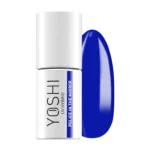 The Color is Now 504